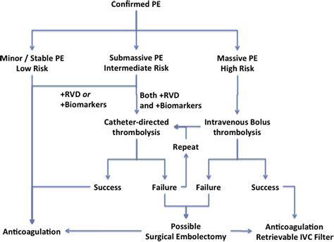 lv mural thrombus|chest guidelines lv thrombus.